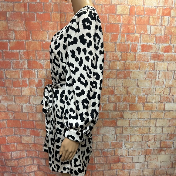 H&M Animal Print Balloon Sleeved Satin‎ Dress - Picture 6 of 16